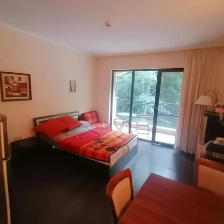 Apartament Dream
